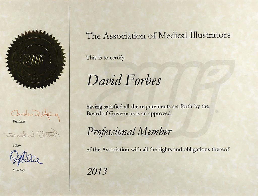 The Association of Medical Illustrators