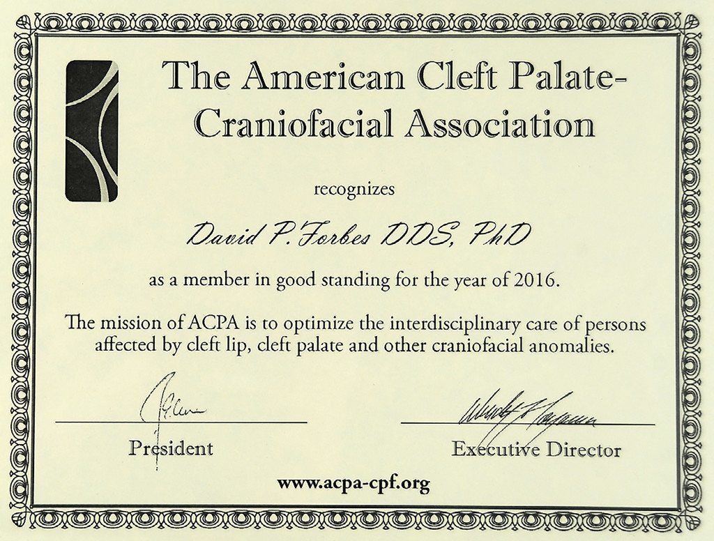 The American Cleft Palate-Craniofacial Association