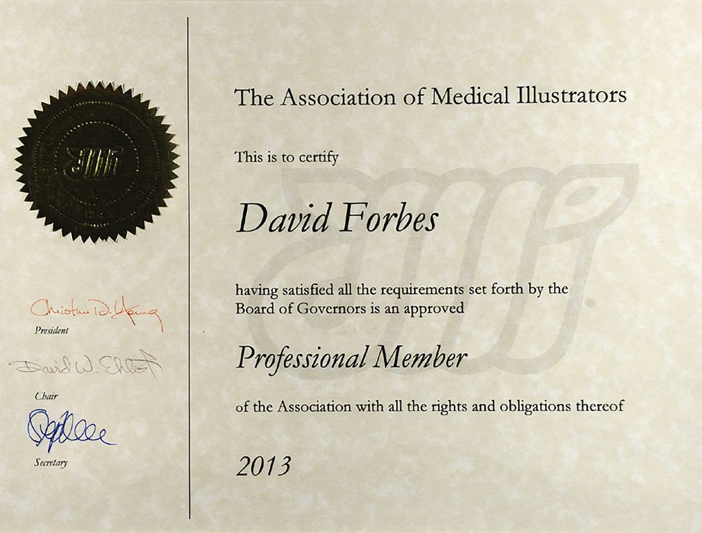 The Association of Medical Illustrators Professional