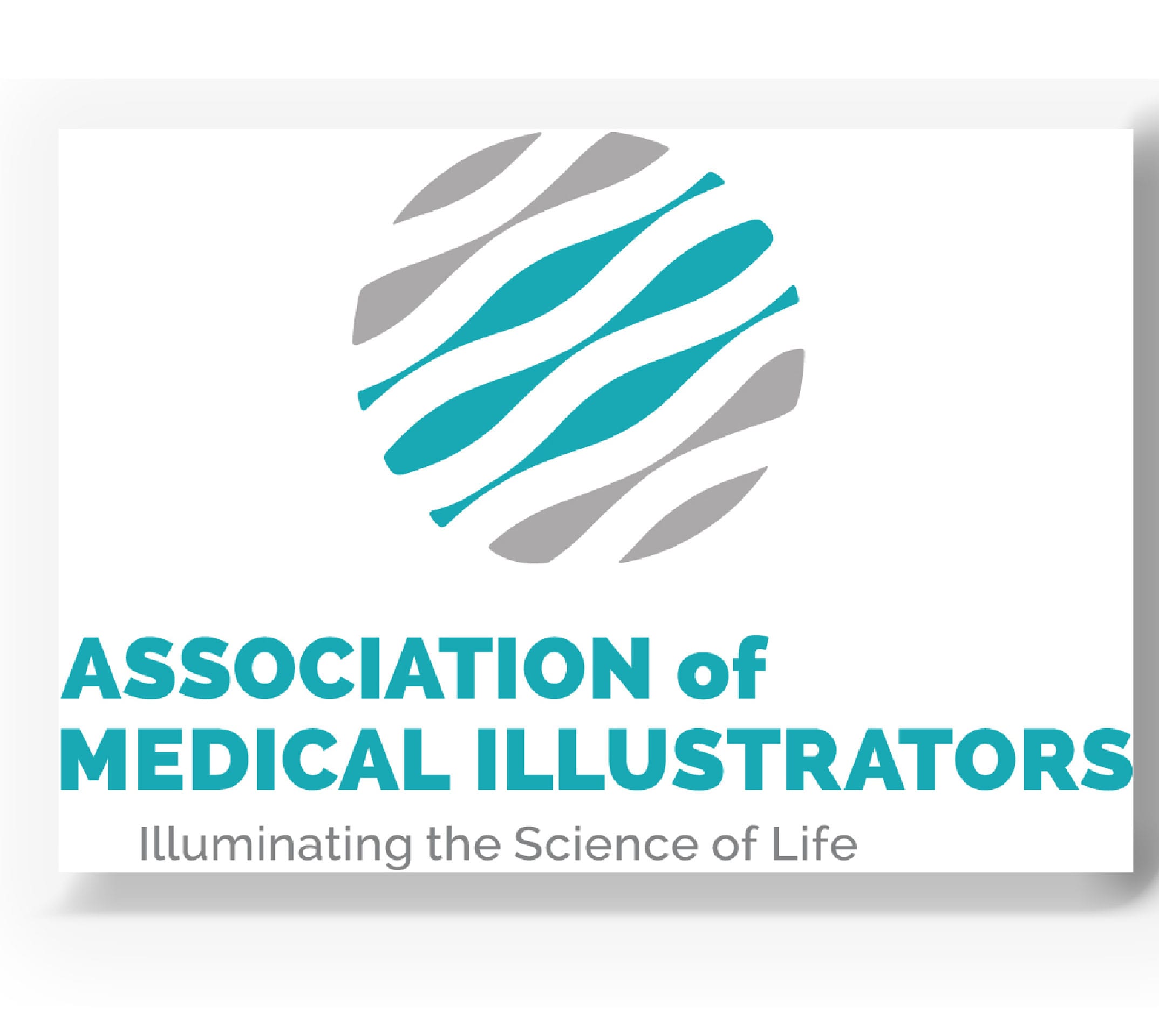Association of Medical Illustrators