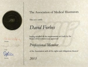 Association Medical Illustrators Professional Member